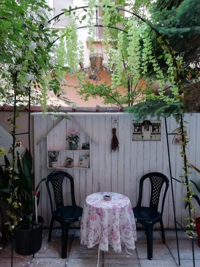 Art Guest House Orchidea Pomorie Exterior foto