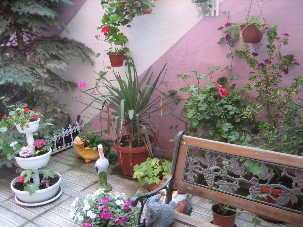 Art Guest House Orchidea Pomorie Exterior foto
